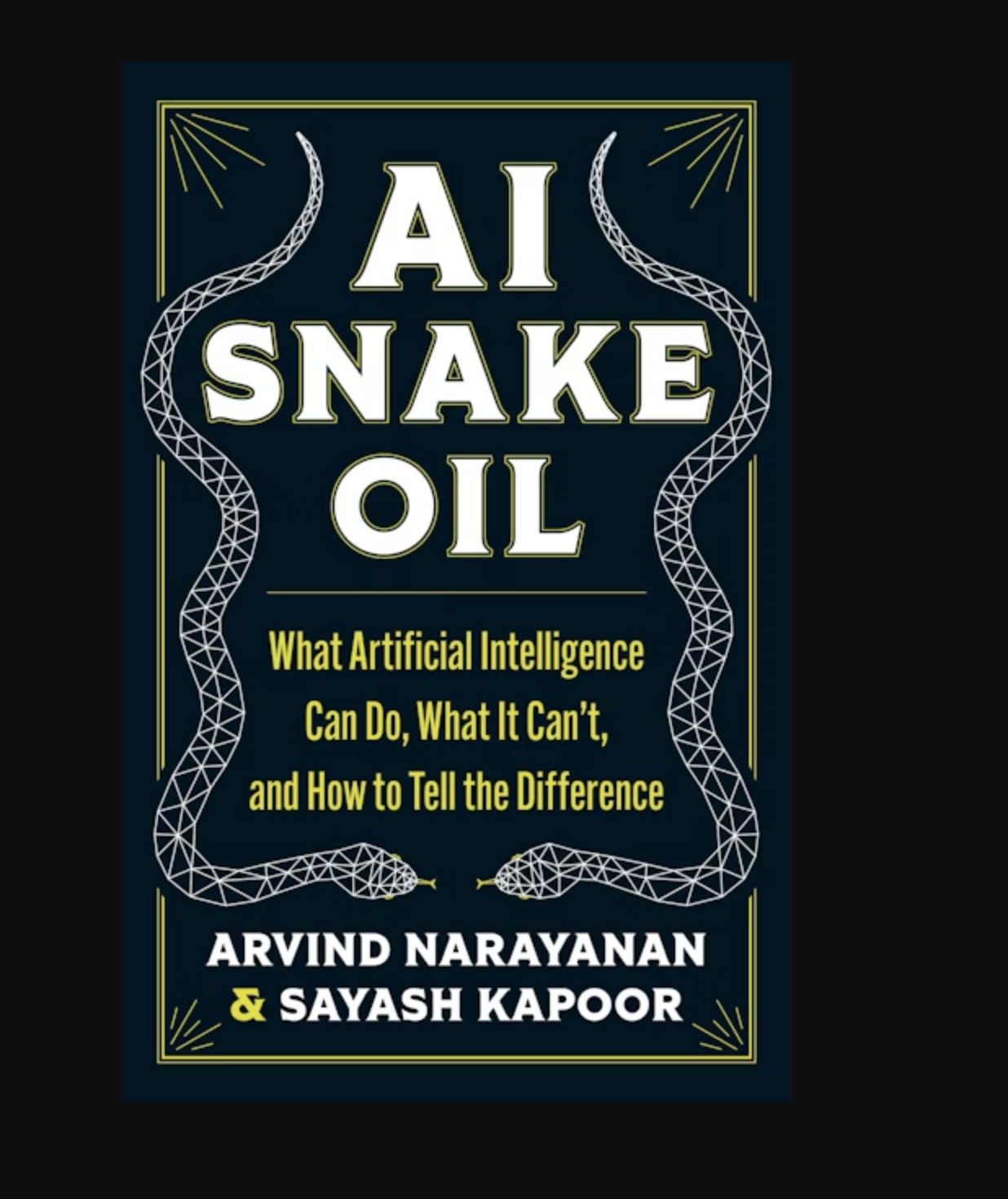 cover of "AI Snake Oil"