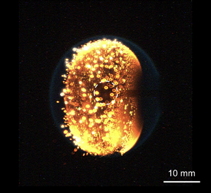 photo of flame test on the International Space Station