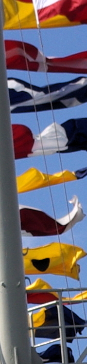 photo of flags flying on the Savannah